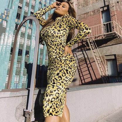 Winter New Fashion Leopard Print Long Dress Elegant Women Long Sleeve Bodycon Dress Celebrity Evening Party Runway Vestidos