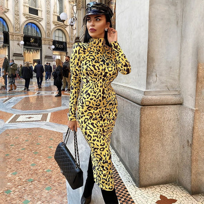 Winter New Fashion Leopard Print Long Dress Elegant Women Long Sleeve Bodycon Dress Celebrity Evening Party Runway Vestidos