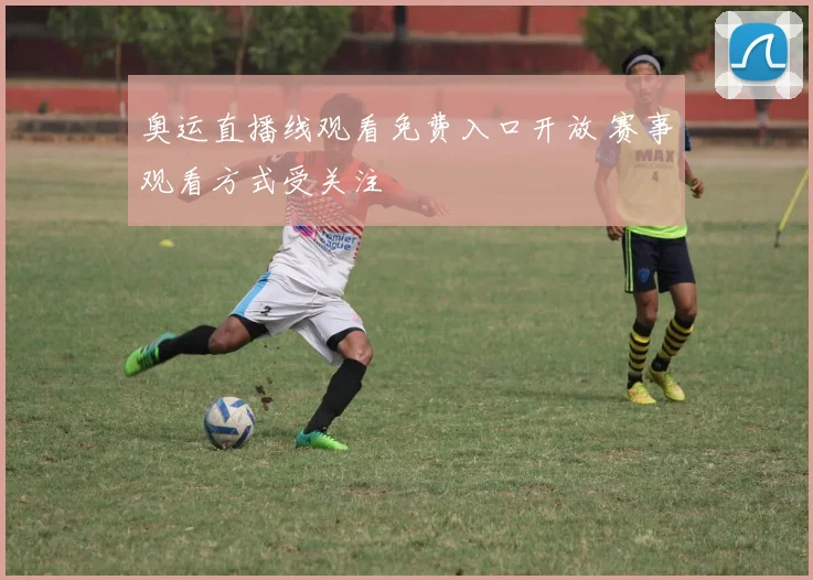 奥运直播线观看免费入口开放 赛事观看方式受关注