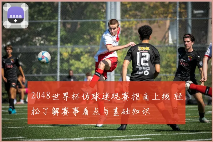 2048世界杯伪球迷观赛指南上线 轻松了解赛事看点与基础知识