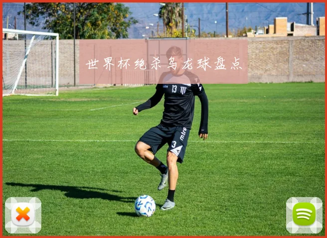 世界杯绝杀乌龙球盘点