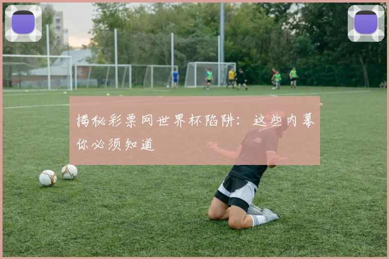 揭秘彩票网世界杯陷阱:这些内幕你必须知道