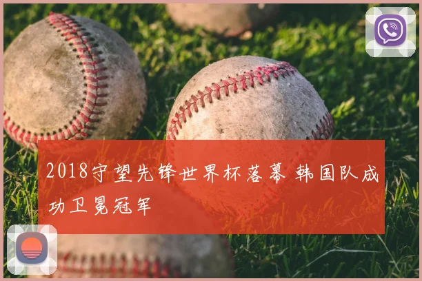 2018守望先锋世界杯落幕 韩国队成功卫冕冠军