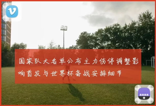 国家队大名单公布主力伤停调整影响首发与世界杯备战安排细节