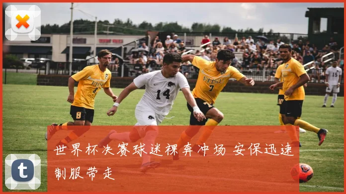 世界杯决赛球迷裸奔冲场 安保迅速制服带走